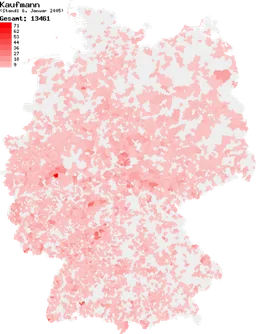 Kaufmann