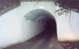 Urban Legends
