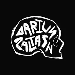 Darius Zaltash