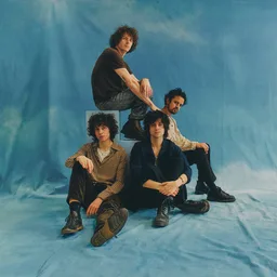 Mystery Jets