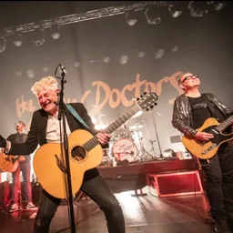 The Saw Doctors