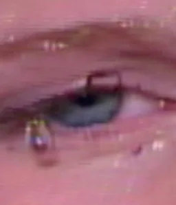 lilyisthatyou