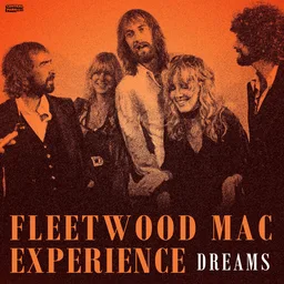 Fleetwood Mac Experience