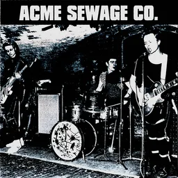 Acme Sewage Co