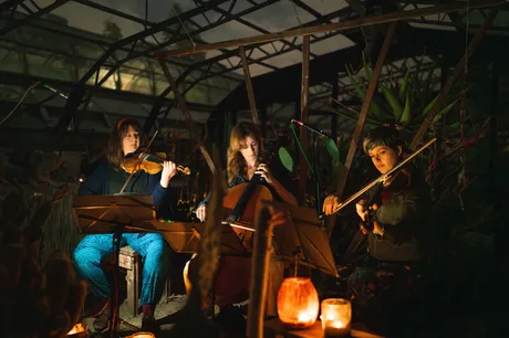 J.A.M. String Collective + James Gow