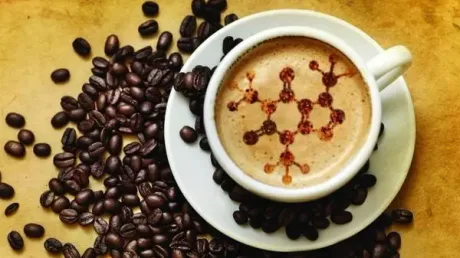 Cafe Scientifique