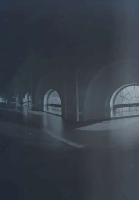 Chemigrams - Camera-less photography with artist Tom Godwin
