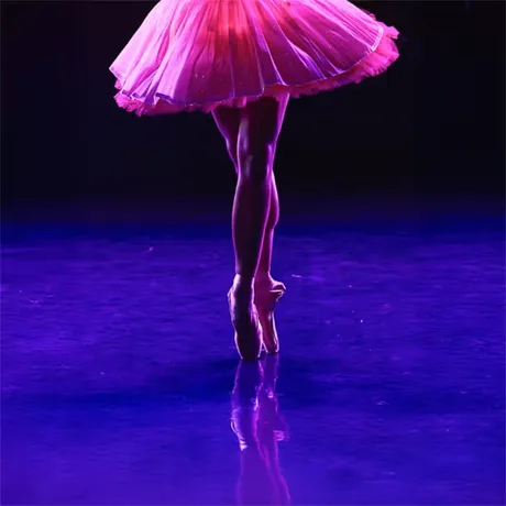 Ballet of Lights: Sleeping Beauty in a Sparkling Show