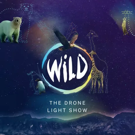 WILD: The Drone Light Show - Ipswich