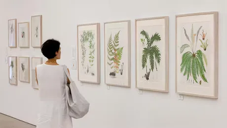 The RHS Portfolio Advisory Session