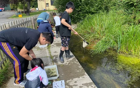 Pond Dipping at Foxton Locks