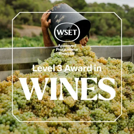 WSET Level 3 Award Course and Exam