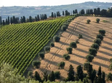 Saturday: Hidden Gems of Italy