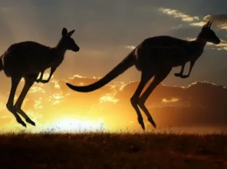 Explore Australia and New Zealand