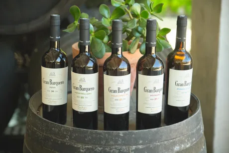 Sherry Masterclass - Gran Barquero | Amathus Soho