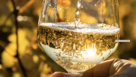 Too Cool For School: Modern Wines to Rival The Classics