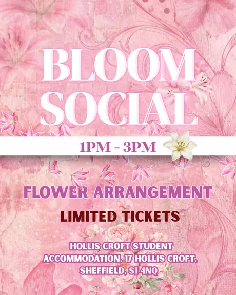 Bloom social