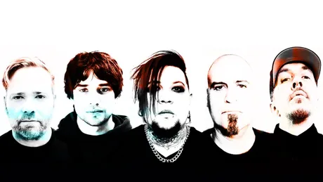 Spineshank