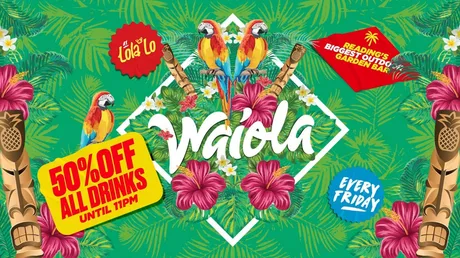 WAIOLA: 50% OFF Drinks Until 11PM🍹