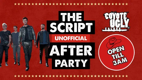 THE SCRIPT UNOFFICIAL AFTERPARTY