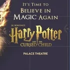 Harry Potter and the Cursed Child - One Part Show