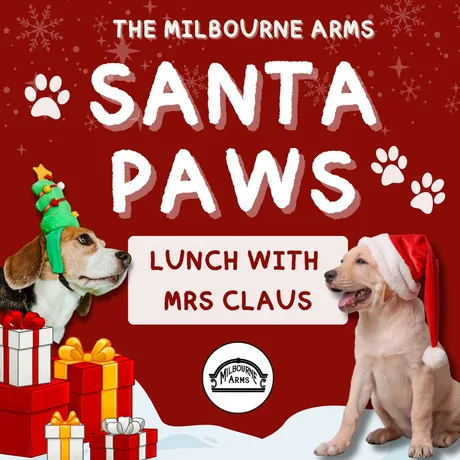 Santa Paws - Lunch with Mrs Claus