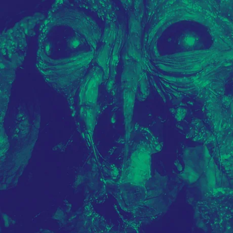 Halloween Special Screening of THE FLY (1986) at Plaza Camden.