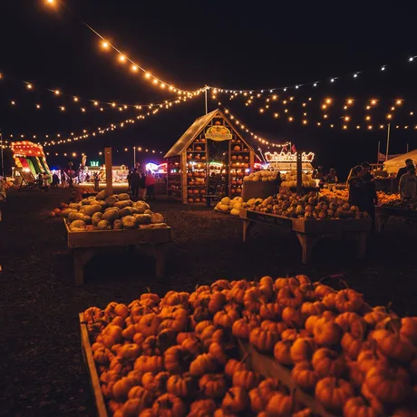 Pumpkin Patch Nights