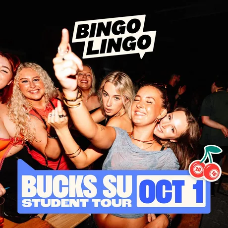 Bingo Lingo