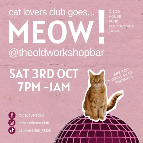 Cat Lovers Club goes... MEOW! At the Old Workshop