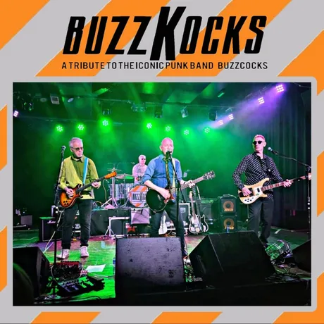 Snug Live Sessions w/Buzzkocks