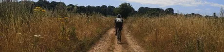 Southern Grit