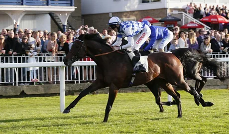 Party in the Paddock Racenight at Royal Windsor Racecourse