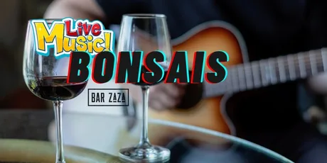 Bonsais at Bar ZaZa