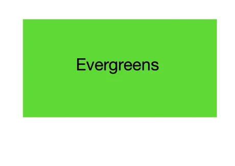 Evergreens