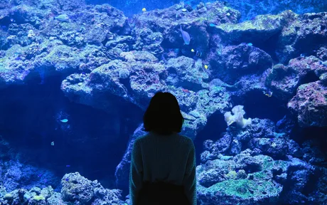 Sea Life Brighton - Standard Admission