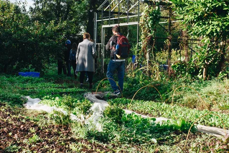 Garden tours at Cliveden