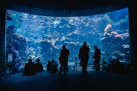Sea Life London - Standard Entry