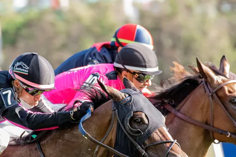 Race Meeting