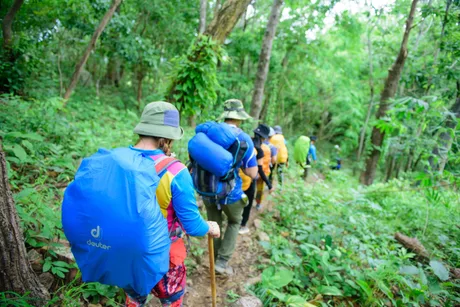 Signpost Challenge Hike