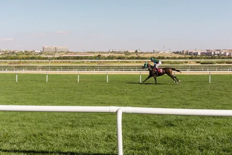 Afternoon Jump Racing - Newcastle Racecourse