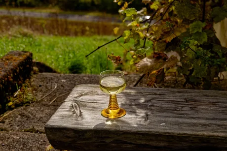 Wine Tasting Dinner
