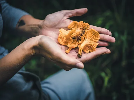 Wilder Communities - Gressenhall Community Tree Nursery