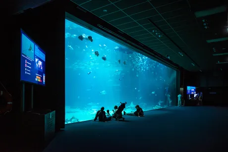 Sea Life Blackpool - Standard Entry