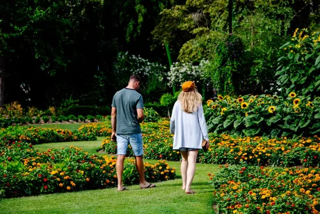 Evening Garden Tours
