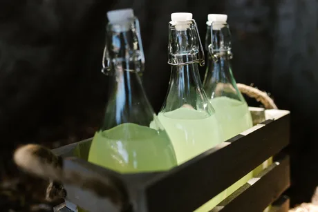 Lime Garden