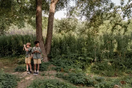 Free guided nature walks of Witley Common