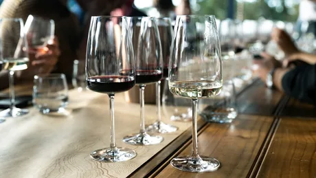 Wine and Tapas Tasting Experience