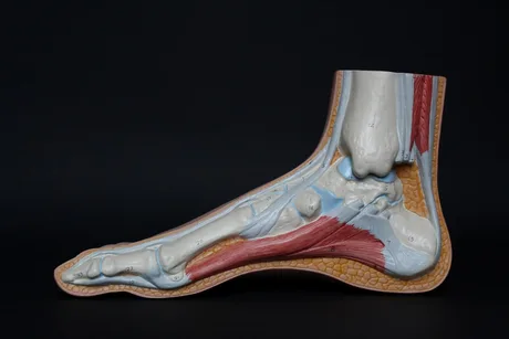 Podiatrist – Lewis Slater
