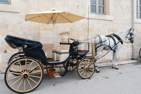 Heavy horse carriage rides